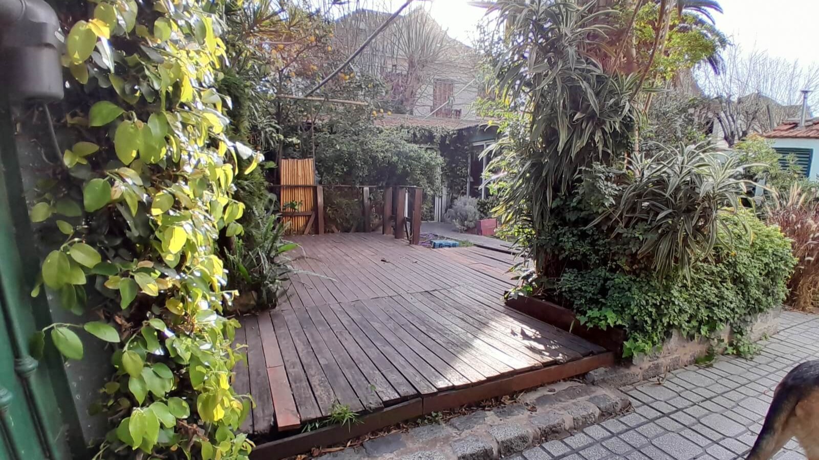 Deck de madera en estado de deterioro.